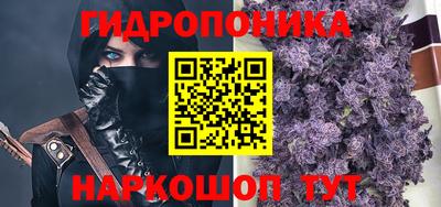 сатива Кохма
