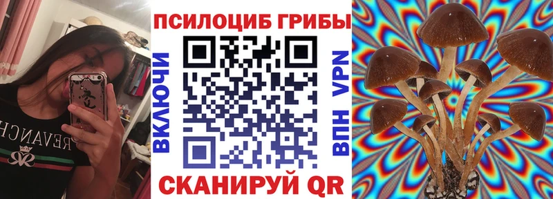 как найти   нарко площадка формула  Псилоцибиновые грибы MAGIC MUSHROOMS  Абинск 