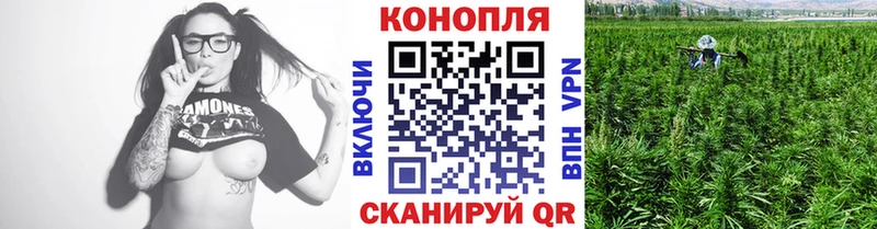 сколько стоит  Абинск  Бошки марихуана конопля 